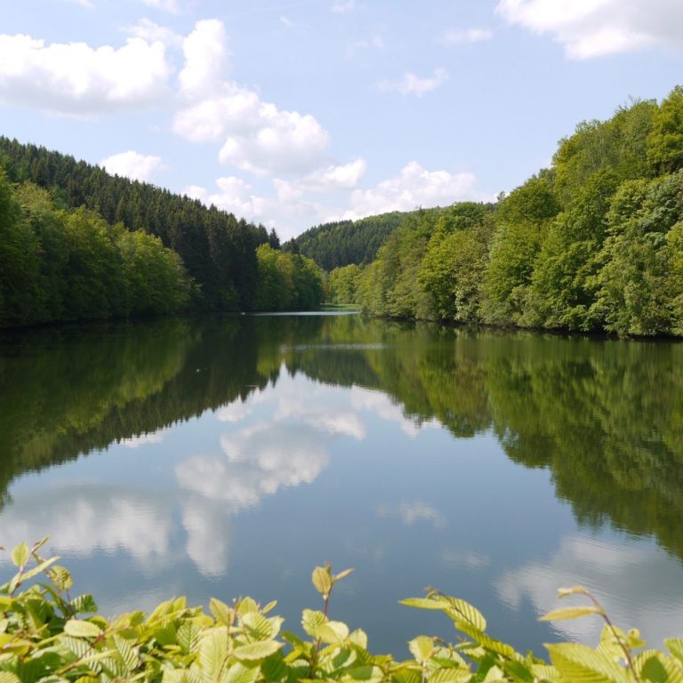 Im See umrandet durch Bäume spiegeln sich Wolken vom blauen Himmel darüber
